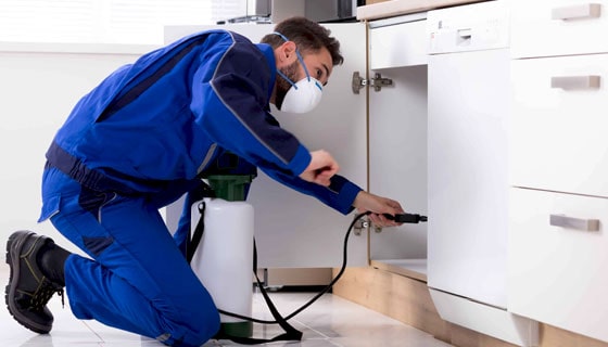 Pest Control Services in Bhandup
