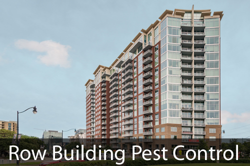 Pest Control for Row Building