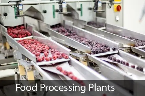 Pest Control for Food Processing Plants