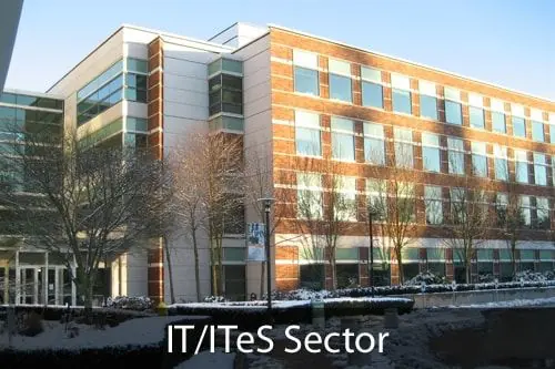 Pest Control for IT Sector