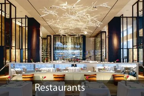 Pest Control for Restaurants and Bar