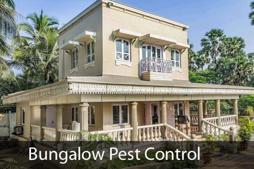 Pest Control for Bungalow