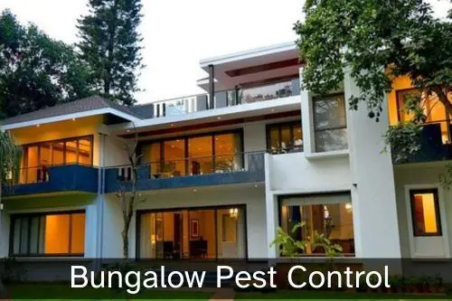 Pest Control for Bungalow