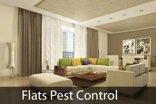 Pest Control for Flats, Rooms