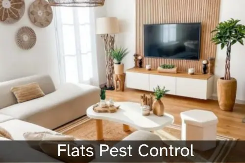 Pest Control for Flats, Rooms