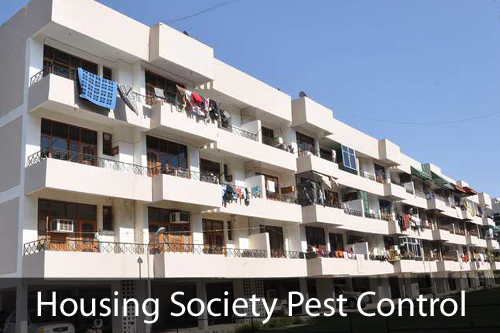 Pest Control for Housing Society