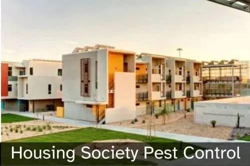 Pest Control for Housing Society