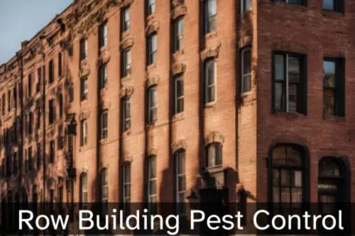 Pest Control for Row Building
